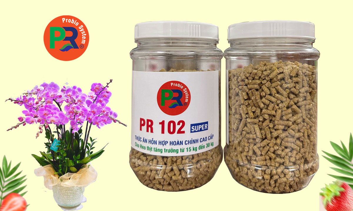 Thức ăn hỗn hợp hoàn chỉnh cao cấp cho heo thịt tăng trưởng từ 15 kg  đến 30 kg