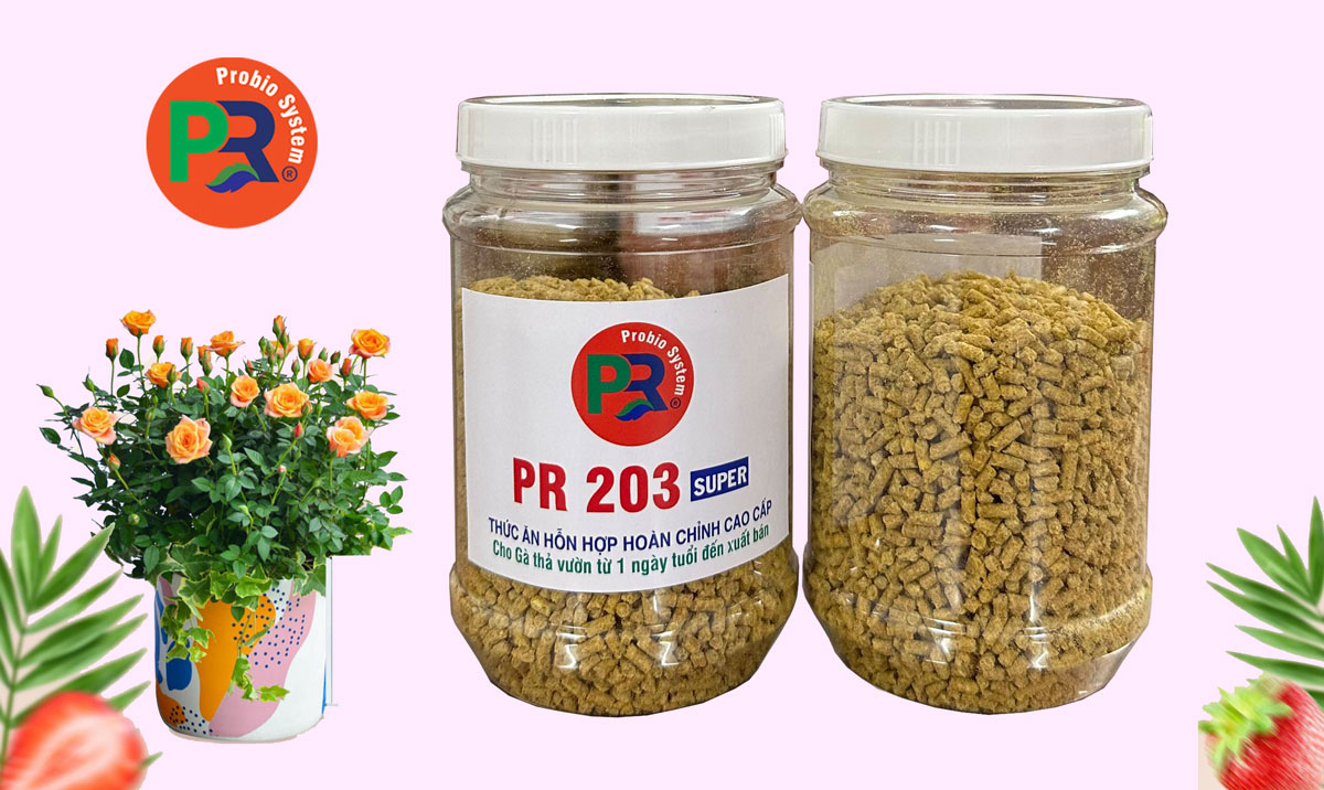 Thức ăn hỗn hợp hoàn chỉnh cho gà thả vườn  từ 1 ngày tuổi đến xuất bán